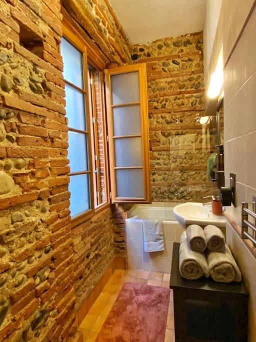 Cocon Cosy Dans La Ville Rose Τουλούζη Εξωτερικό φωτογραφία