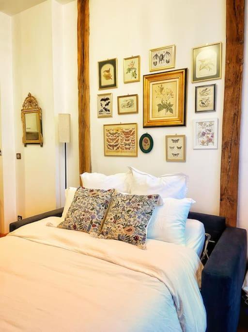 Cocon Cosy Dans La Ville Rose Τουλούζη Εξωτερικό φωτογραφία